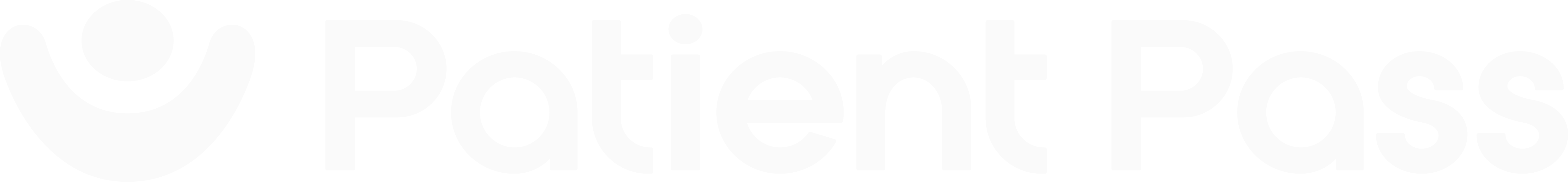 Patient Pass Logo